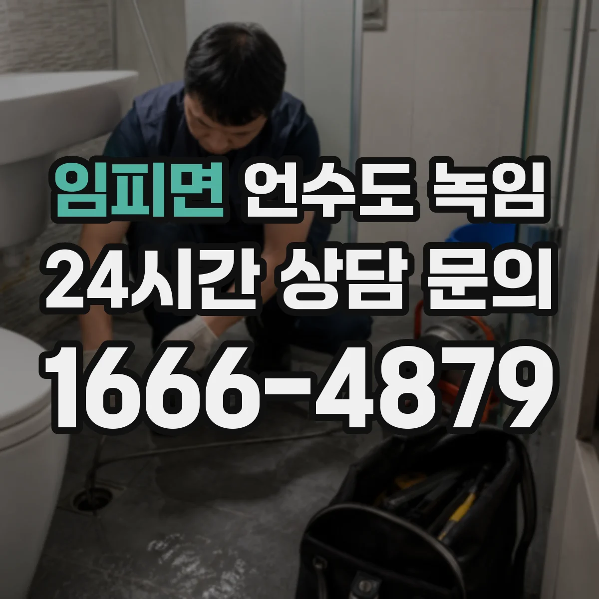임피면 언수도 녹임