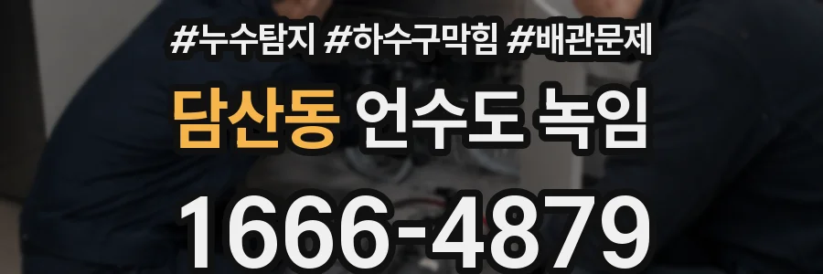 담산동 언수도 녹임