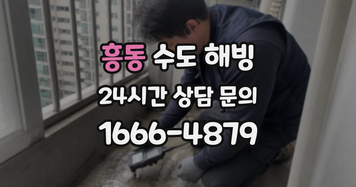 흥동 수도 해빙