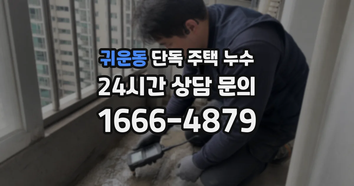 귀운동 단독 주택 누수
