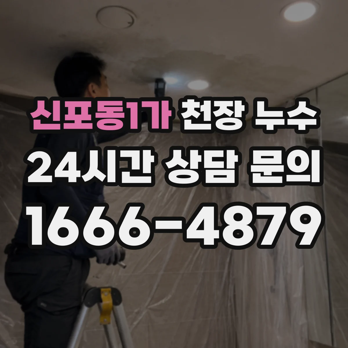 신포동1가 천장 누수