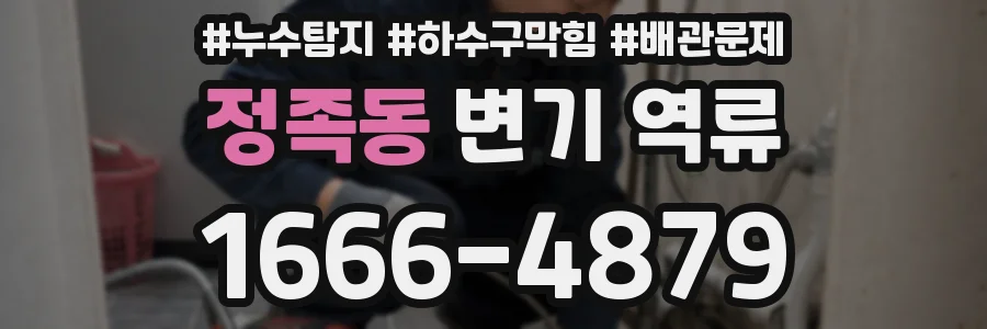 정족동 변기 역류