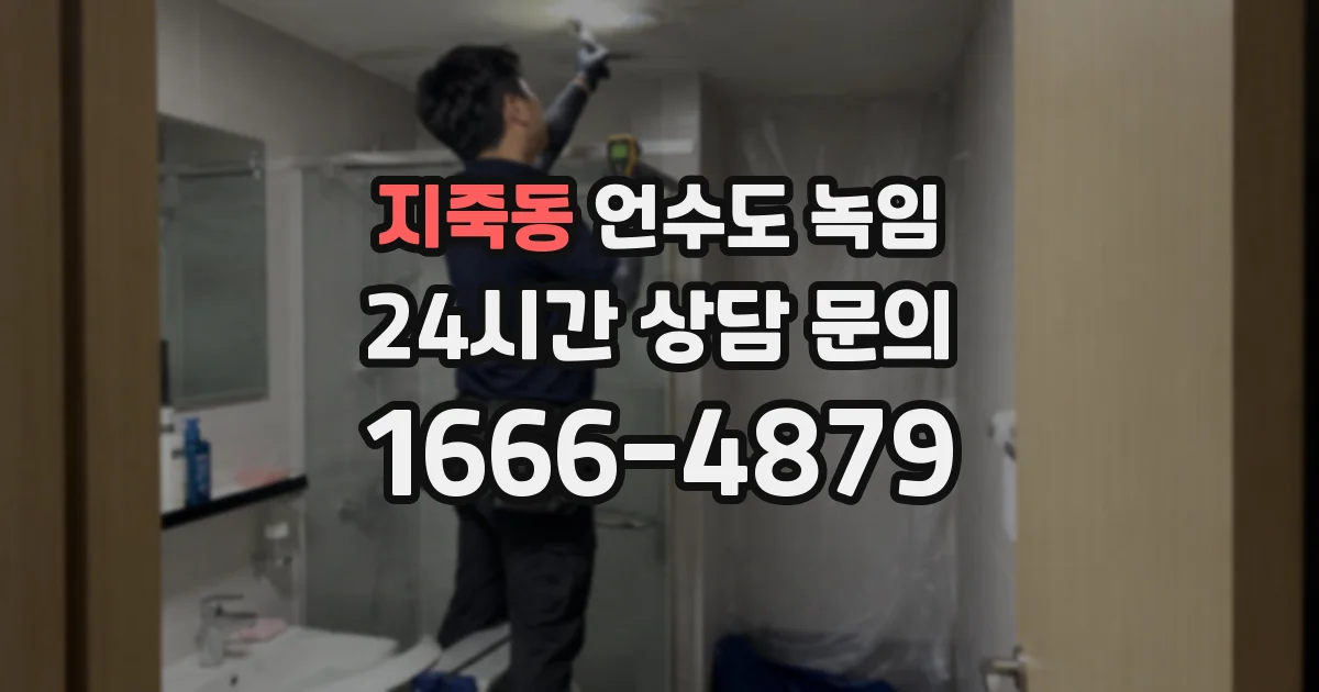 지죽동 언수도 녹임