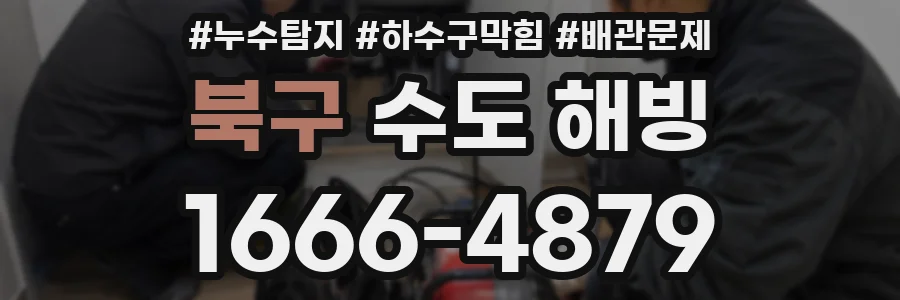 북구 수도 해빙