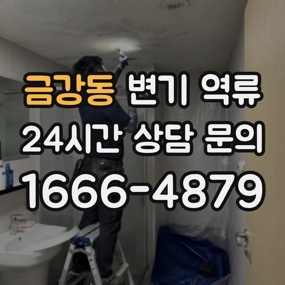 금강동 변기 역류