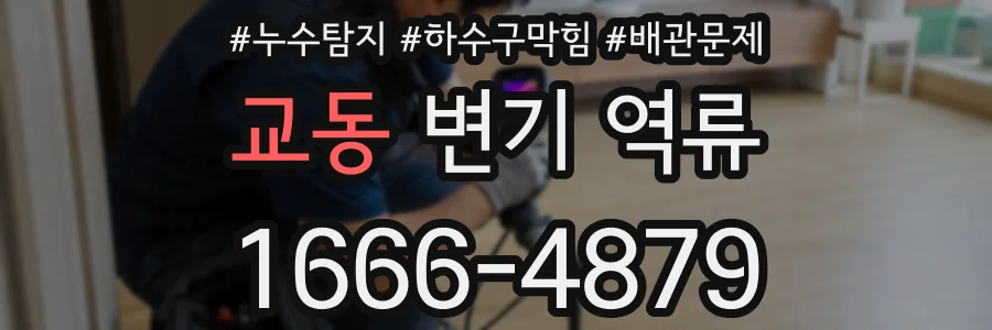 교동 변기 역류
