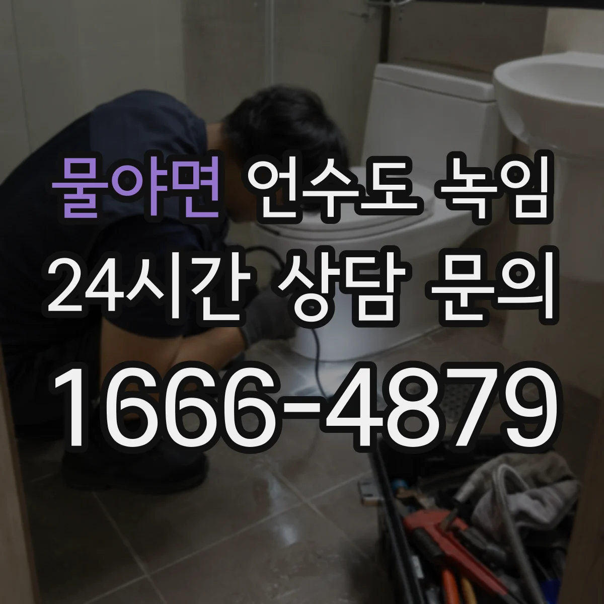 물야면 언수도 녹임