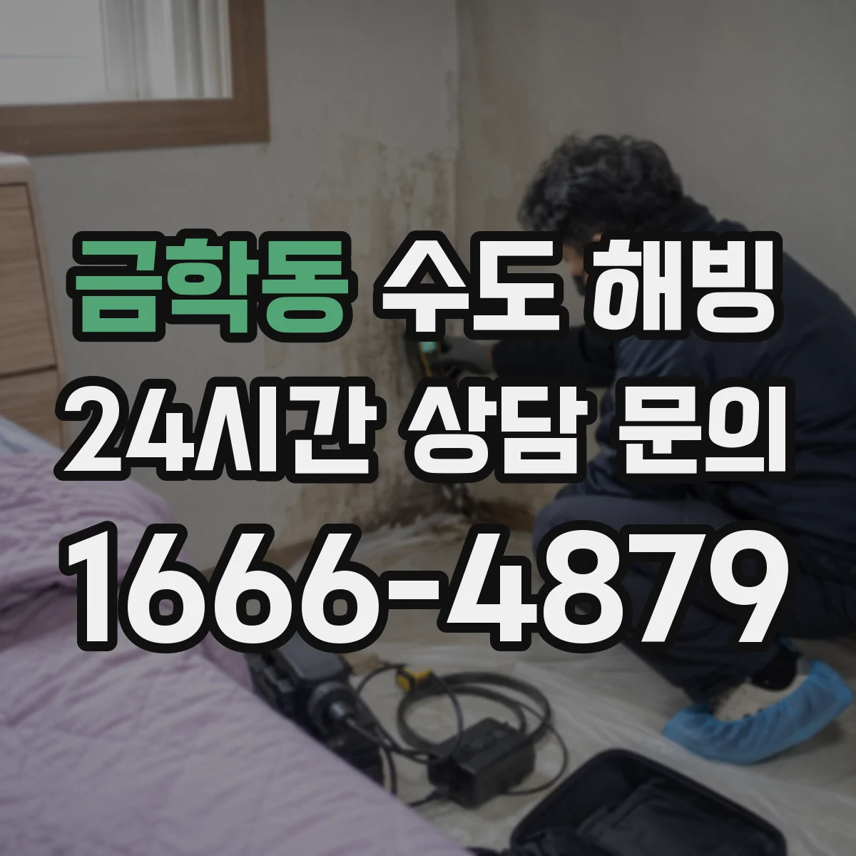 금학동 수도 해빙