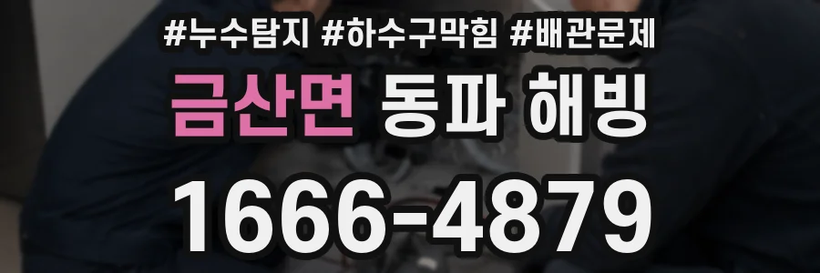 금산면 동파 해빙