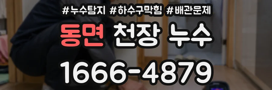 동면 천장 누수