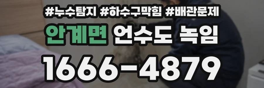 안계면 언수도 녹임