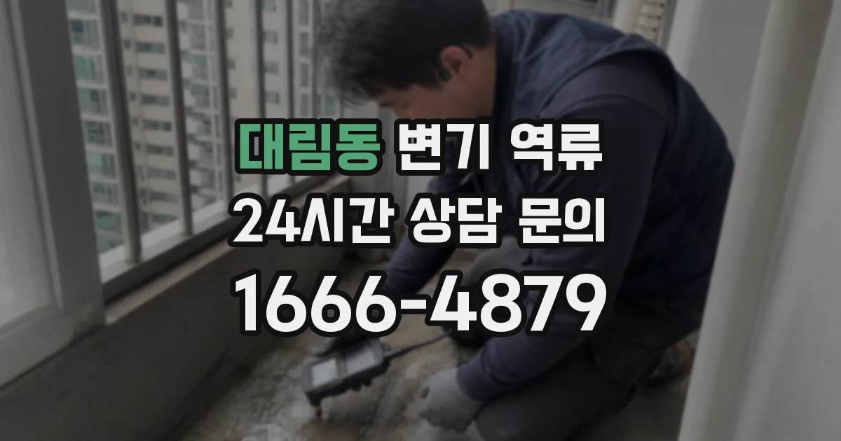 대림동 변기 역류