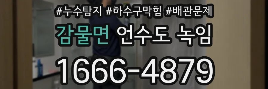 감물면 언수도 녹임