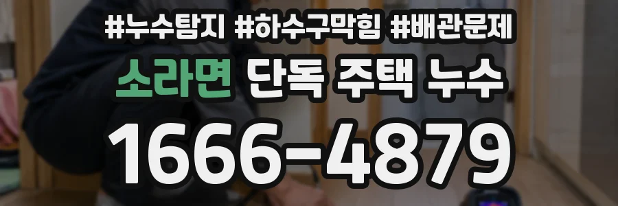 소라면 단독 주택 누수