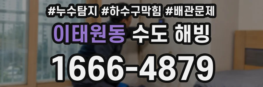 이태원동 수도 해빙