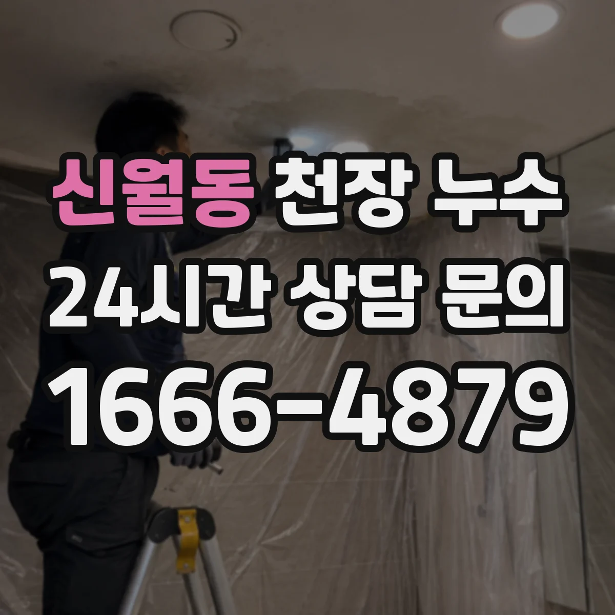 신월동 천장 누수