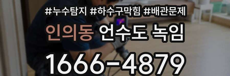 인의동 언수도 녹임