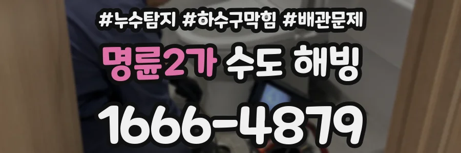 명륜2가 수도 해빙
