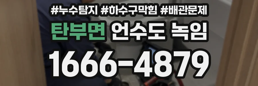탄부면 언수도 녹임