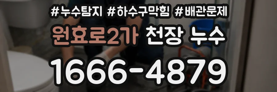 원효로2가 천장 누수