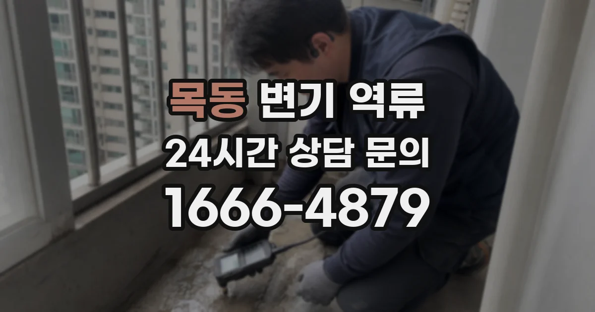 목동 변기 역류