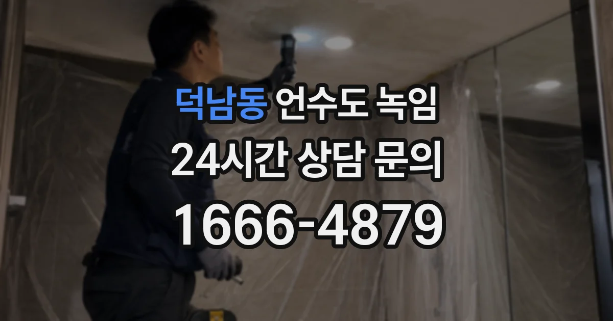 덕남동 언수도 녹임