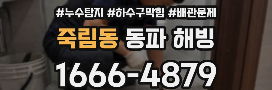 죽림동 동파 해빙