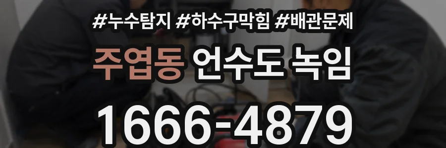 주엽동 언수도 녹임