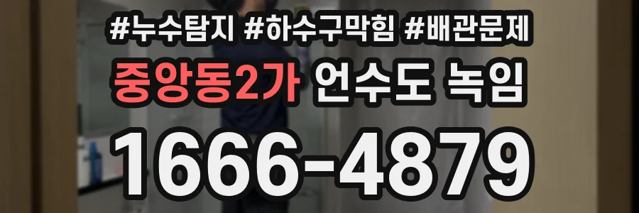 중앙동2가 언수도 녹임