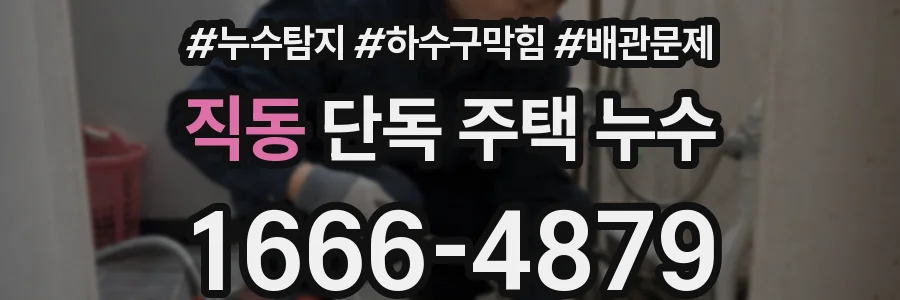 직동 단독 주택 누수