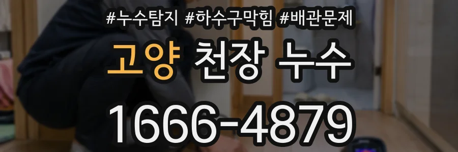 고양 천장 누수