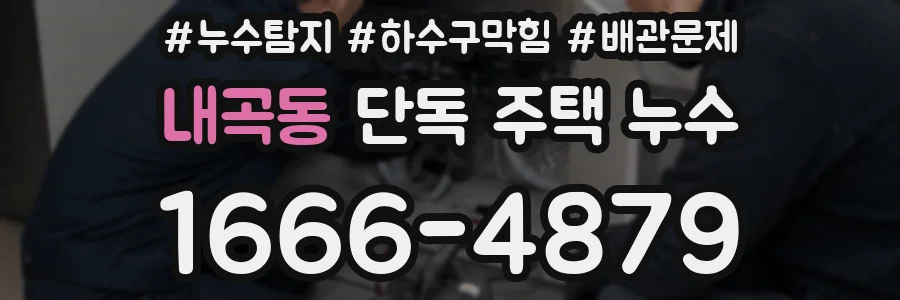 내곡동 단독 주택 누수