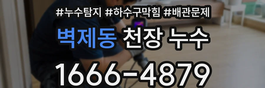 벽제동 천장 누수