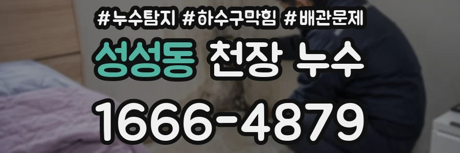 성성동 천장 누수