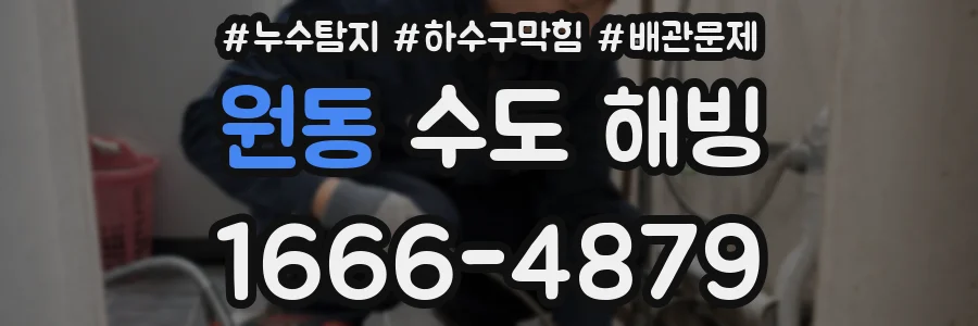 원동 수도 해빙