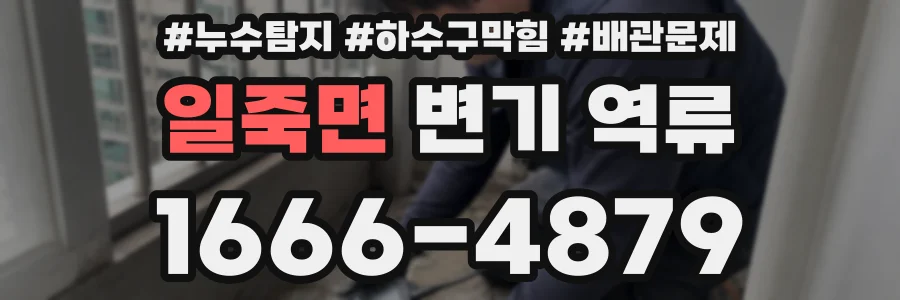 일죽면 변기 역류