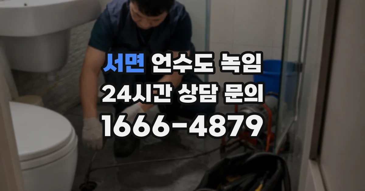 서면 언수도 녹임