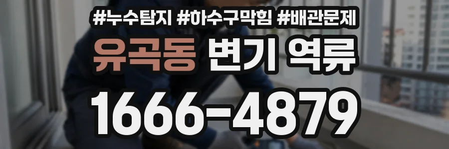 유곡동 변기 역류