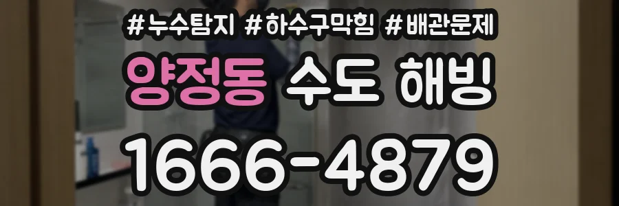 양정동 수도 해빙