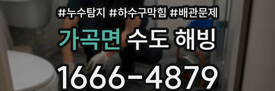 가곡면 수도 해빙