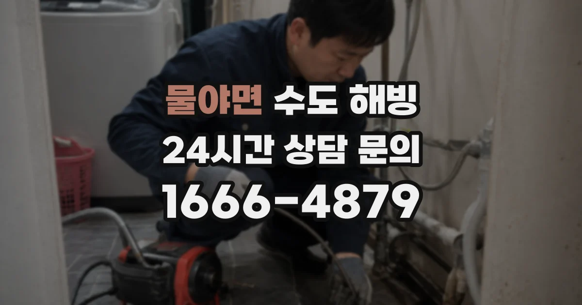 물야면 수도 해빙