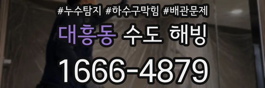 대흥동 수도 해빙