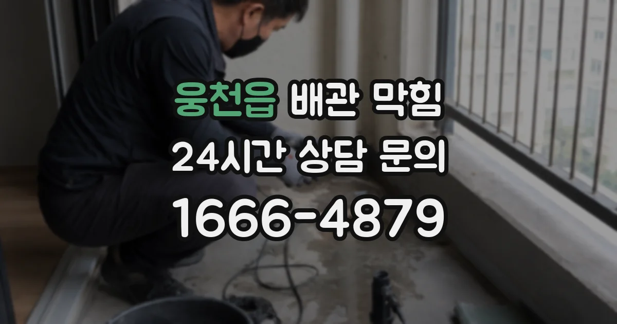웅천읍 배관 막힘