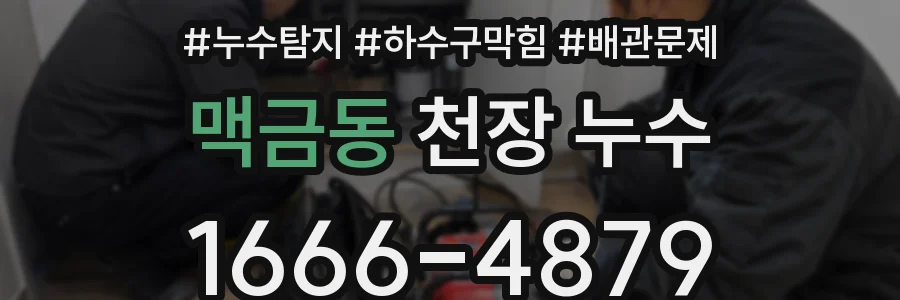 맥금동 천장 누수