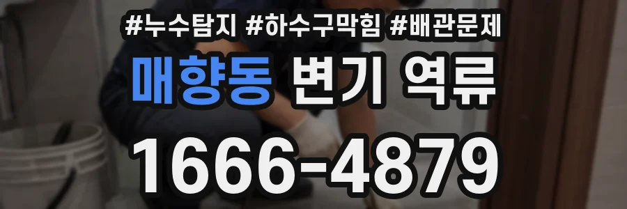 매향동 변기 역류
