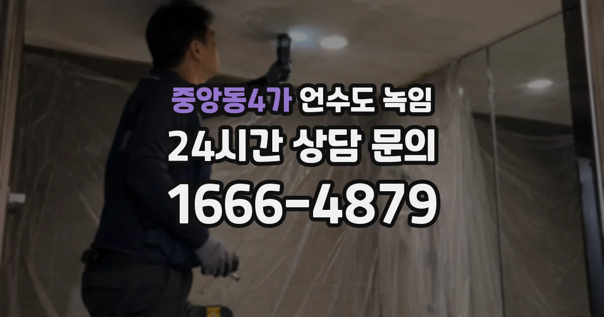 중앙동4가 언수도 녹임