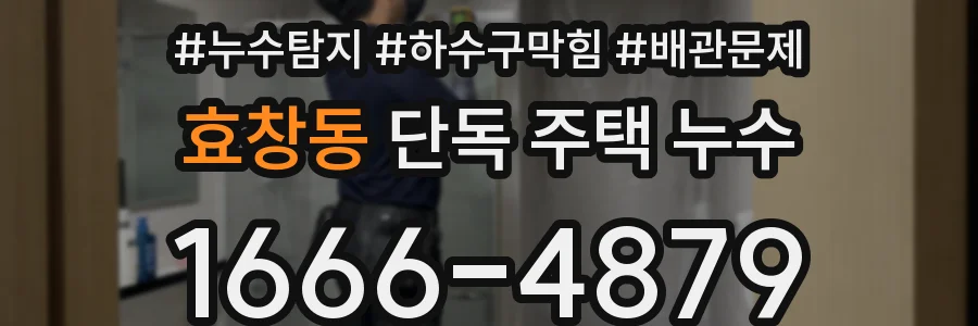효창동 단독 주택 누수