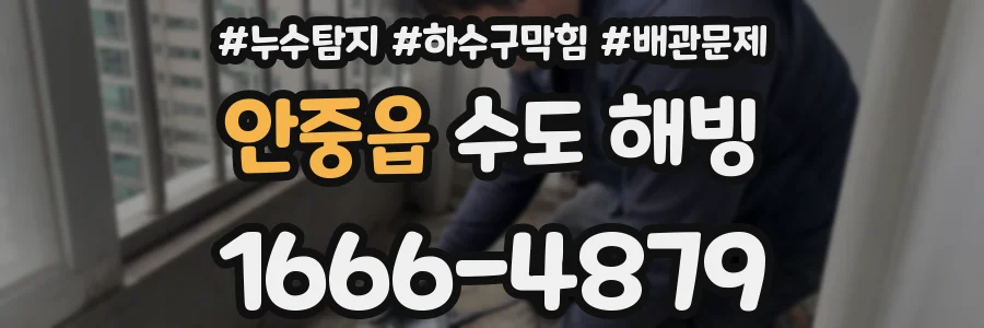 안중읍 수도 해빙