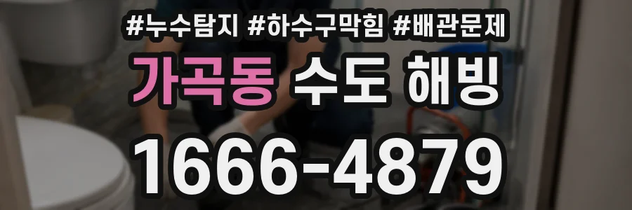 가곡동 수도 해빙