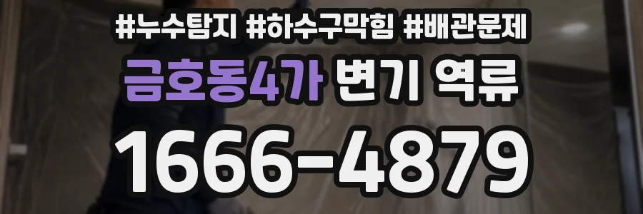 금호동4가 변기 역류